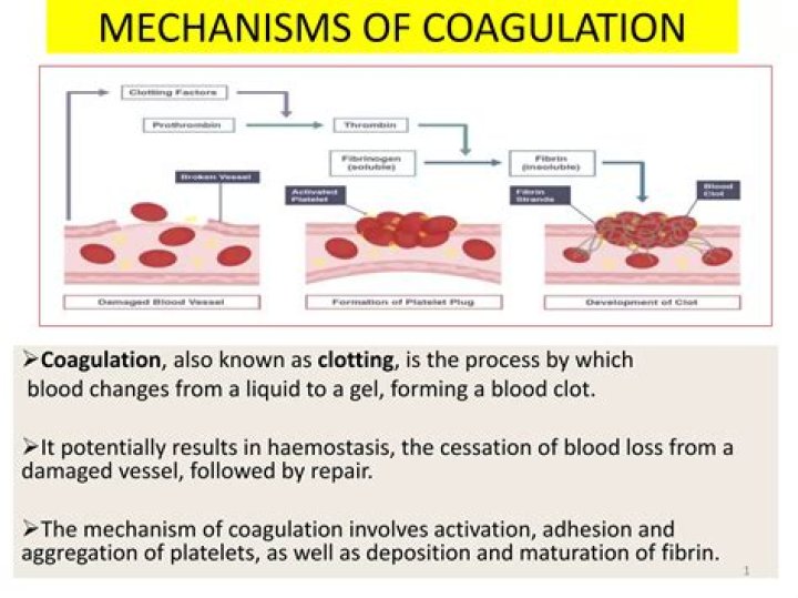 Is uncoagulated a word?