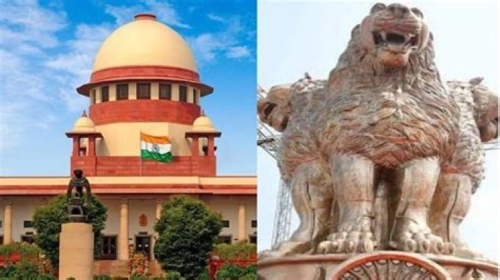 
‘It depends on how you look at it’, SC dismisses plea against Ashoka Lions atop new Parliament 
