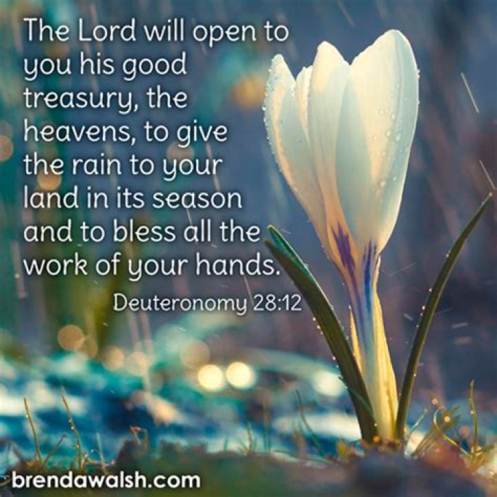 
It Is Raining Blessings For Aloma DMW 