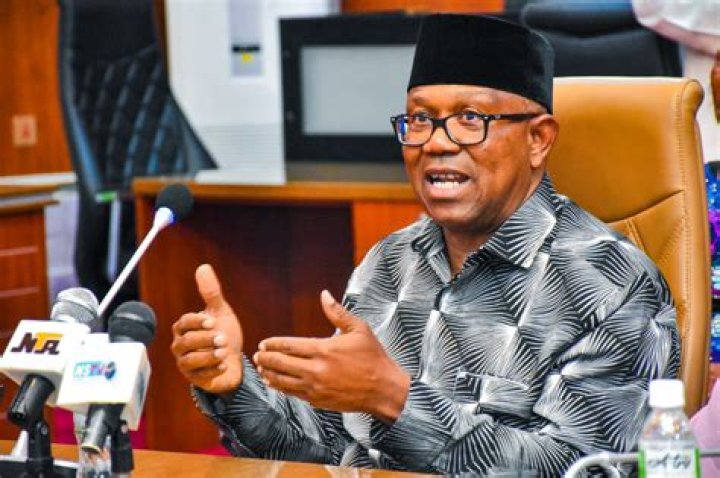 
Journalist Shuns Work From Top Media House To Campaign For Peter Obi 