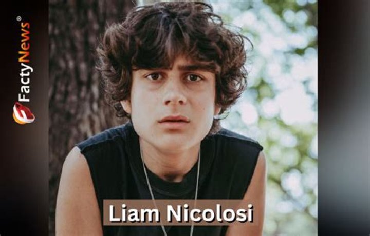 
Liam Nicolosi Height, Weight, Net Worth, Age, Birthday, Wikipedia, Who, Nationality, Biography 