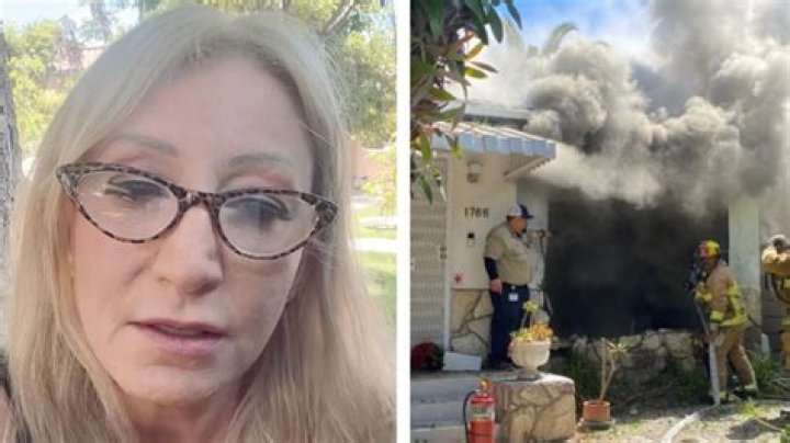 
Lynne Mishele GoFundMe Has Been Raised After Anne Heche Accident Destroyed Her Home 