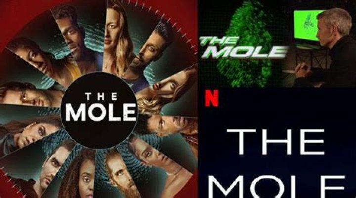 
Netflix reboots ABC’s popular reality show ‘The Mole’, release date unveiled 