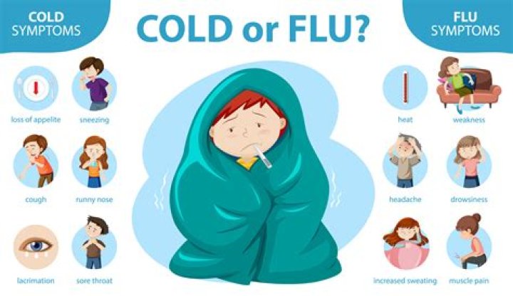 
New Study Discovers Why People Are More Likely to Get the Cold and Flu in the Winter 