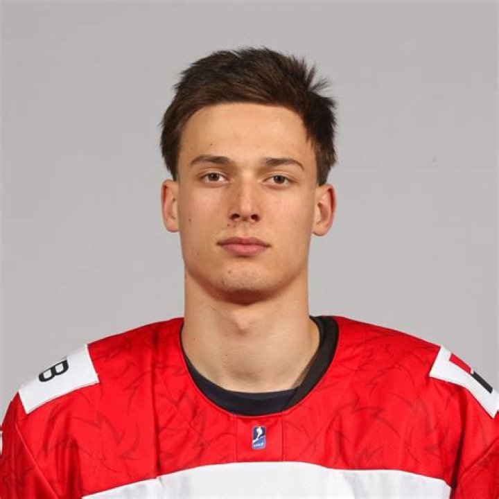 Radim Passer Height, Weight, Net Worth, Age, Birthday, Wikipedia, Who, Nationality, Biography