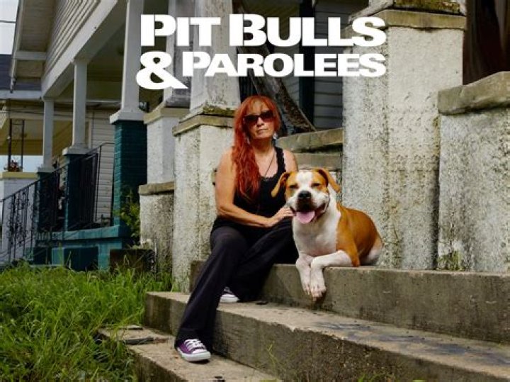 Remember Lizzy and Moe From Pitbulls and Parolees? Are They Still Together In 2022?
