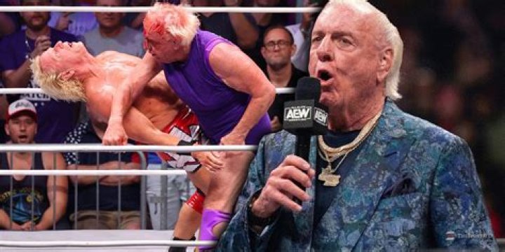 
Ric Flair Height, Weight, Net Worth, Age, Birthday, Wikipedia, Who, Nationality, Biography 