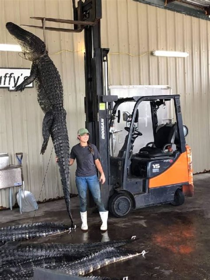 
Steven Williams Height, Weight, Net Worth, Age, Birthday, Wikipedia, Who, Instagram, Biography 