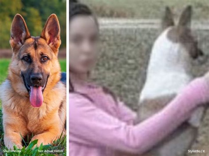 
“There are really no true words”: Denise Frazier dog video leaves cops disturbed 