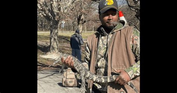 
‘This is somebody’s pet’: 3-foot caiman found in Philly park lake likely dumped by owner 
