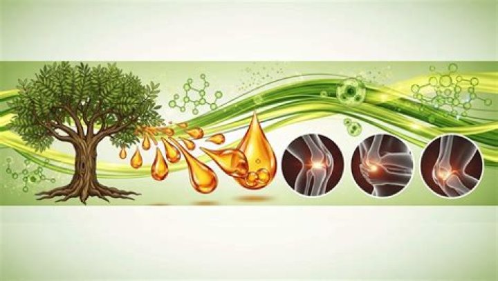 Was ist boswellia serrata?