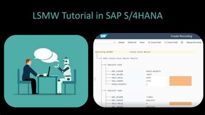 Was ist lsmw sap?