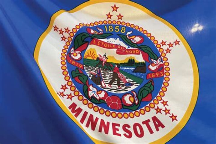 Was minnesota settled by lutherans?