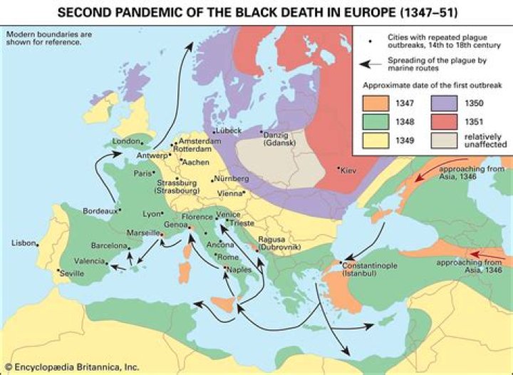 Was septicemic plague part of the black death?