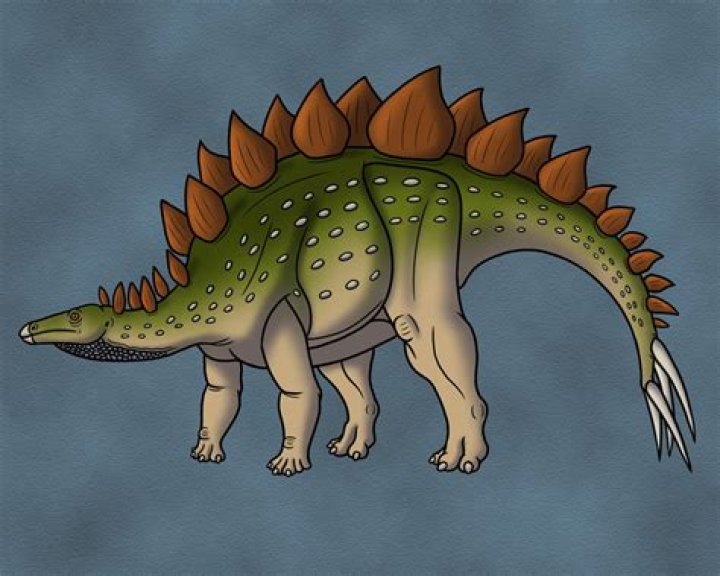 Was stegosaurus a carnivore?