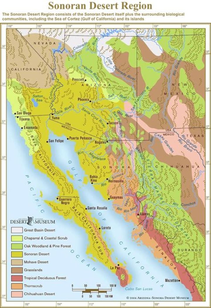 Were is sonoran desert?