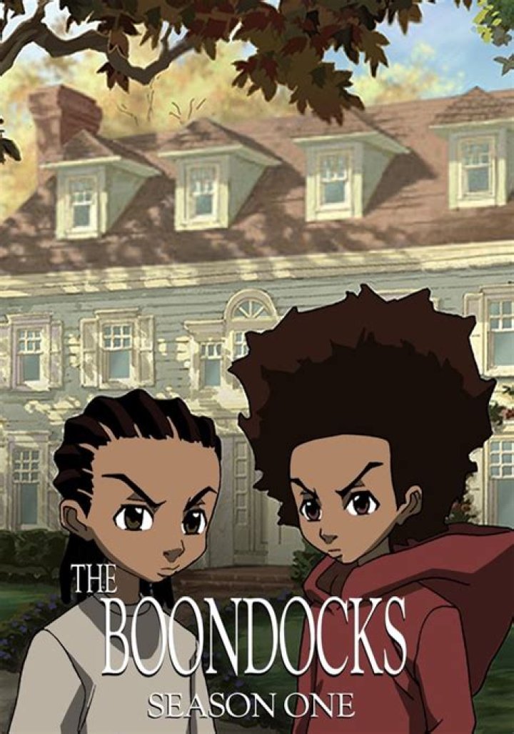 Were to watch the boondocks?