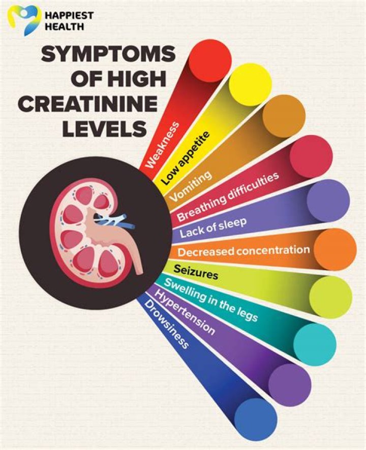 What causes high levels of tyrosine?