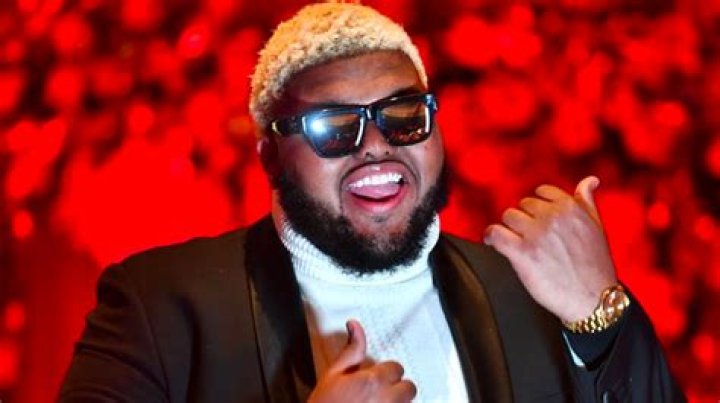 What do you mean by professionalized?