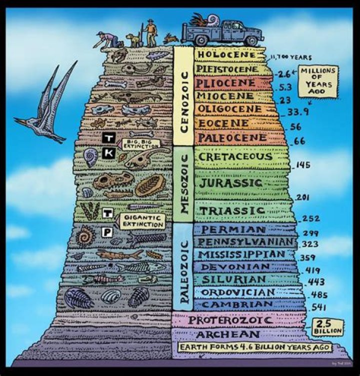 What does homeozoic mean?