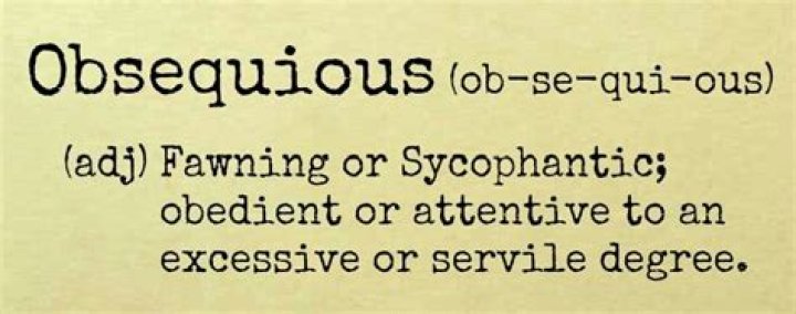 What does obsequious sycophant mean?