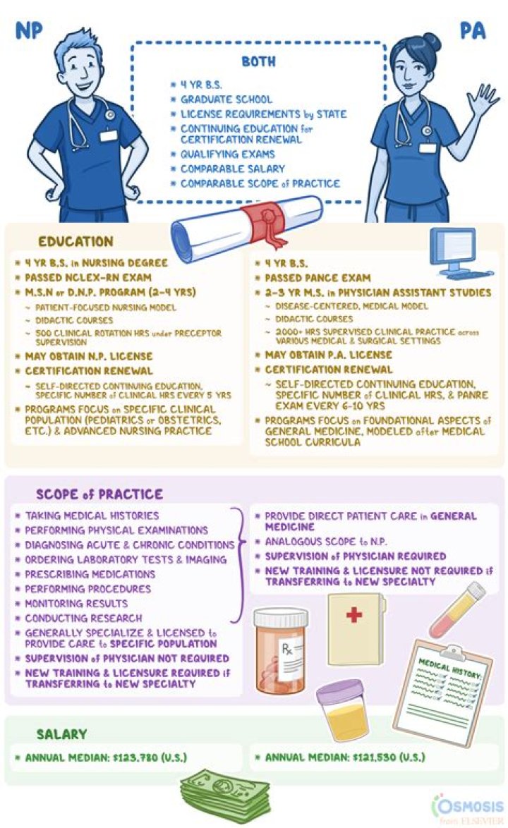 What does posterosuperior mean in medical terms?