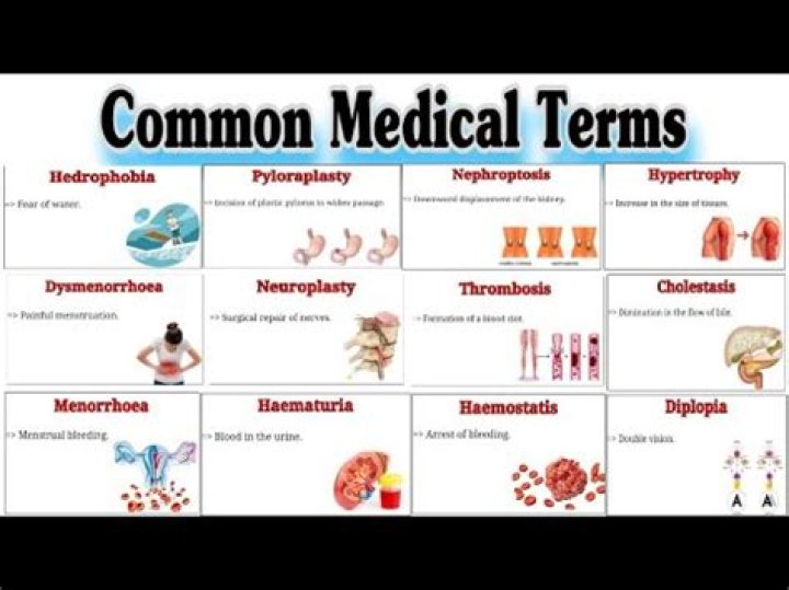 What does the medical term phrenospasm mean?