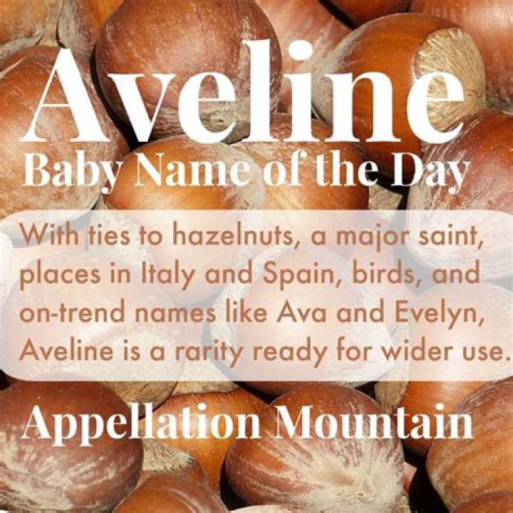 What does the name aveline mean?