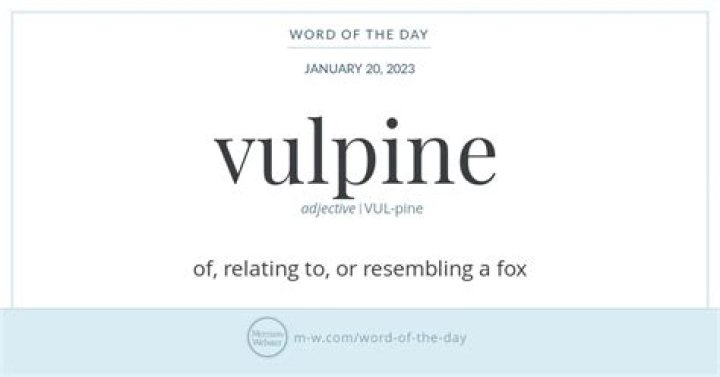 What does vulpine definition?