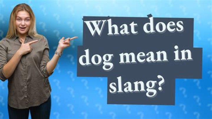 What does ywca mean in slang?