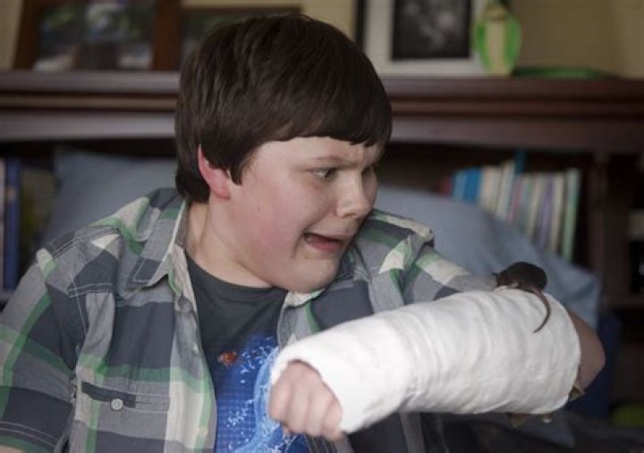 
What happened to Robert Capron? What is he doing now? Wiki 