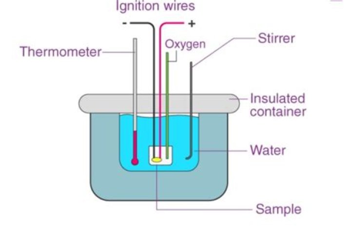 What is a metabolizer?