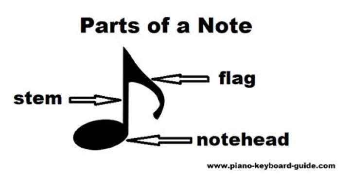 What is a notehead in music?