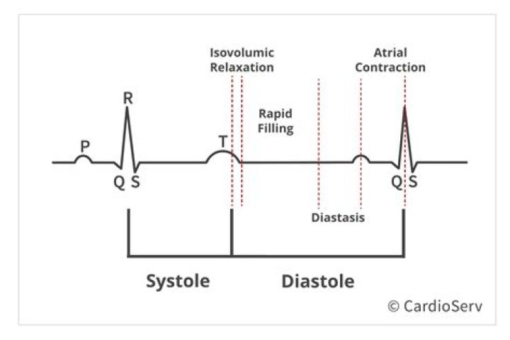 What is auricular systole?