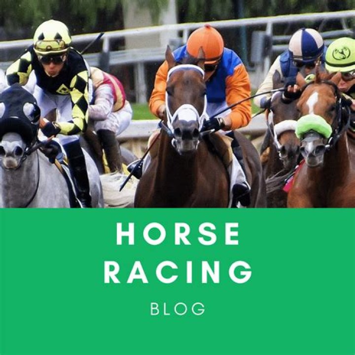 What is dobbing in horse racing?