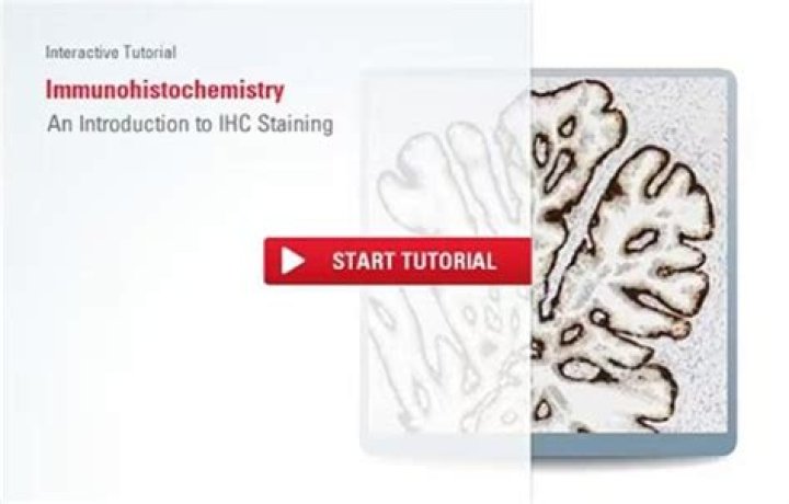 What is histochemical demonstration?