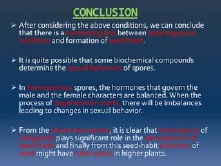 What is homosporous condition?
