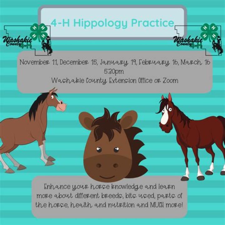 What is horse hippology?
