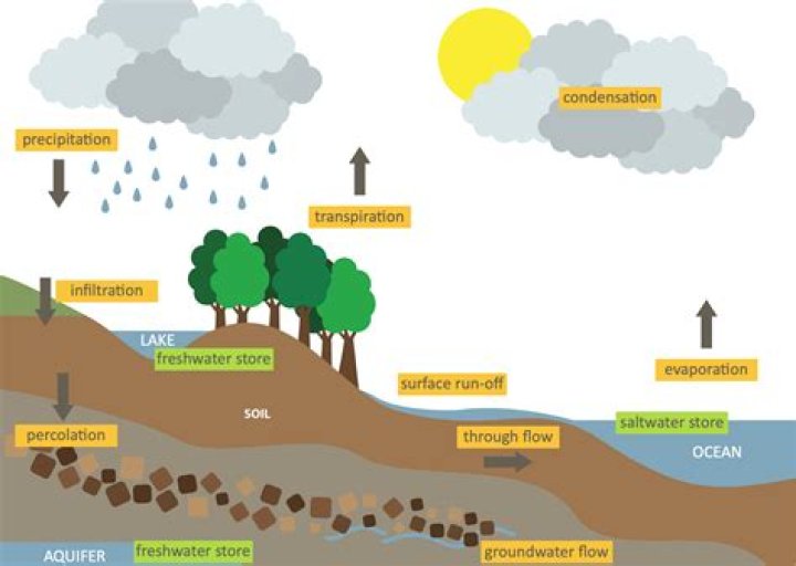 What is hydrology all about?