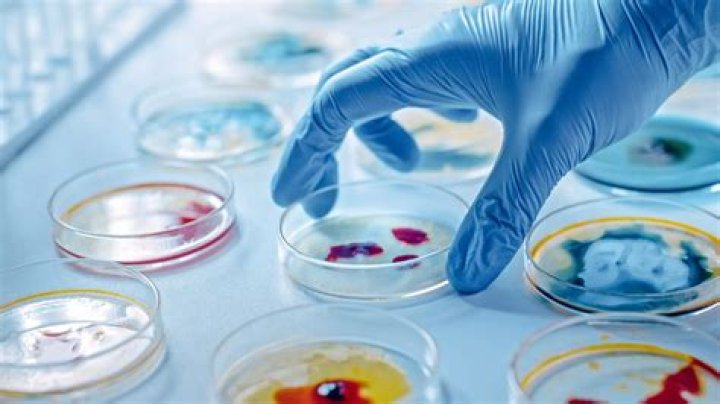 What is microbiology and why is it important?