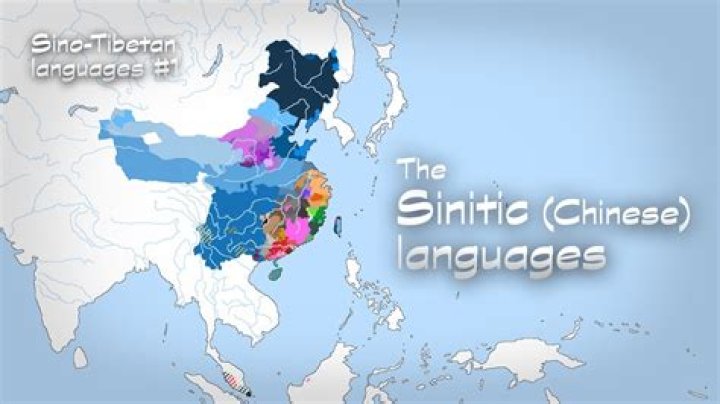 What is sinitic language?