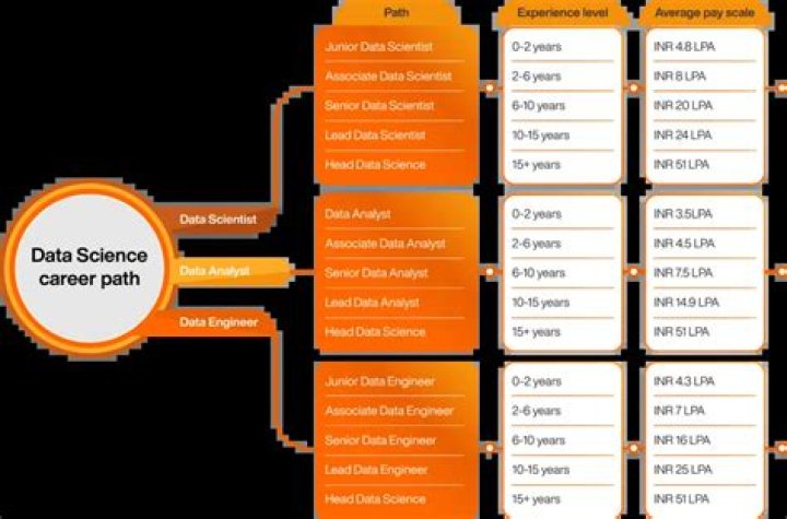 What Is The Career Earnings Of Tracey Jacobs? Johnny Depp Talent Agent Declaration Facts
