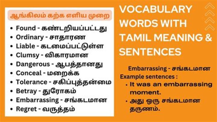 What is the meaning of word truculence?