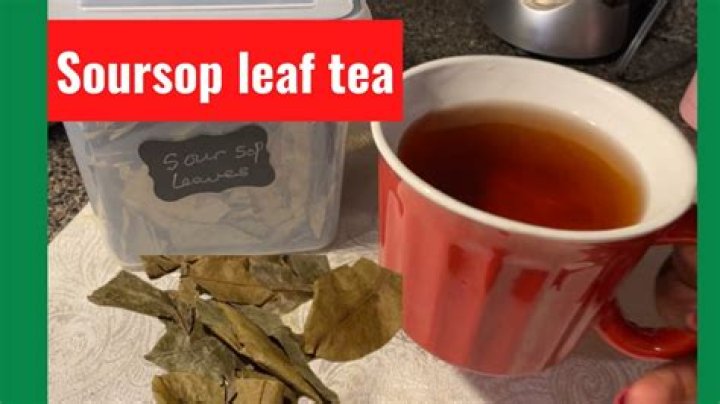 What soursop leaf tea good for?