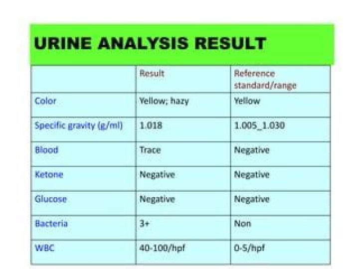 What urinalysis indicates uti?