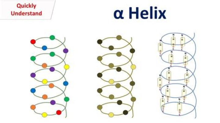 Whats a double helices?