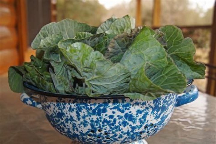 Whats another word for billiards?