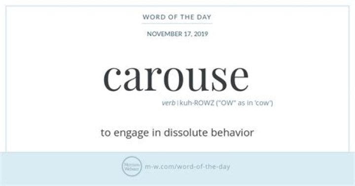 Whats the definition of carouse?