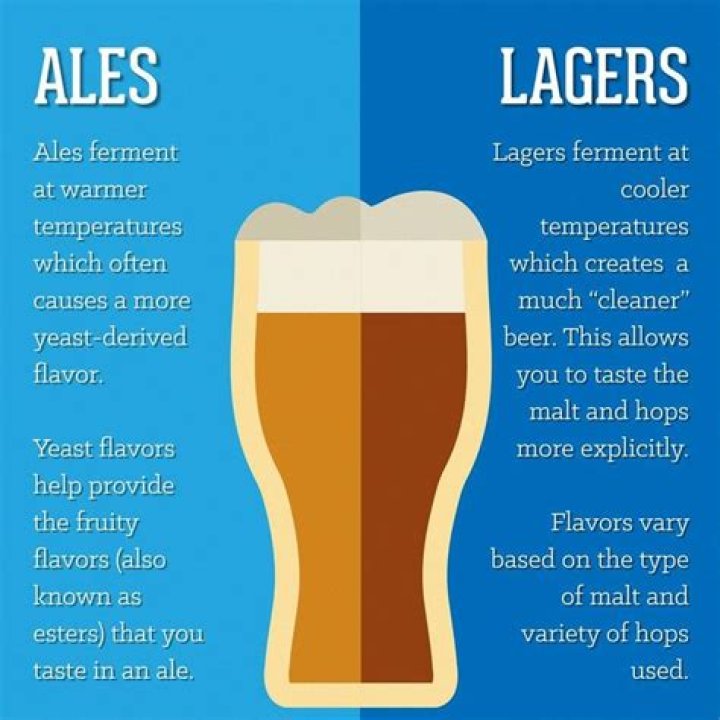 Whats the difference between beer and hops?