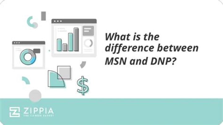 Whats the difference between msn and np?